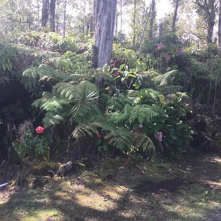 Simply Convenient Tropical Country Studio Mountain View Exterior foto